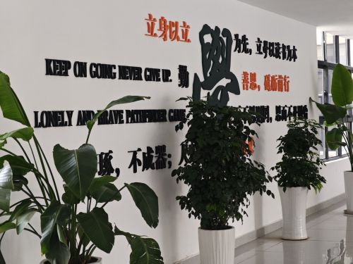 校园风景
